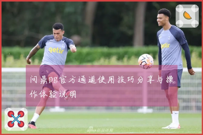问鼎pg官方通道使用技巧分享与操作体验说明